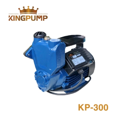 Máy bơm tự mồi KingPump KP-300, chuyên hút đẩy cao 